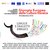 ingresso gratuito al MEIS per la Giornata Europea della Cultura Ebraica