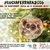 #luciaferrara2016: il photo-contest di Natale e Capodanno a Ferrara su Instagram