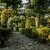 Il Turco cerca giovani amanti dei giardini