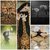 Sony World Photography. L'edizione 2016 per i giovani﻿