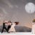 FESTIVAL DI DANZA CONTEMPORANEA - Teatro Comunale di Ferrara - 