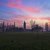 "Note di Jazz dall'alba al tramonto a Codigoro"