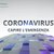 "Coronavirus - capire l’emergenza”, un format web per informare il territorio.