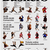 Ferrara Buskers Festival 2025