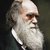 Le immagini e le voci di Brondi e Barbujani ripercorrono i viaggi di Charles Darwin