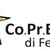 WEBINAR di presentazione dei progetti di servizio civile - Copresc Ferrara