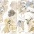 Al via la mostra "Natura Disegnata. Storie di Pittura Naturalistica"