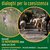 CAI FERRARA - IL LUPO E NOI Dialoghi per la coesistenza Giovedì 13 novembre 2025, ore 20:45
