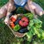 Scambio di Giovani Erasmus+ in Francia su alimentazione e ecologia