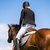 Progetto ESC presso un Centro Equestre in Slovenia