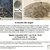  associazione Rrose Sélavy - prossimi appuntamenti