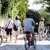 Interno Verde 2017 cerca giovani amanti dei giardini