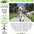 CORSO DI BASE PER PET SITTER