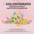 IL VOLONTARIATO Esperienza umana e opportunità occupazionale
