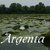 Newsletter "Argentaviva" 