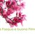 Buona Pasqua e Buona Primavera!