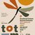 Totem scene urbane Teatro Nucleo