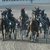 Corse al trotto all'Ippodromo comunale