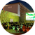 Prossimi Appuntamenti Arena Meis 