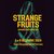 STRANGE FRUITS" il nuovo spettacolo con gli attori detenuti in scena a dicembre!