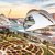 Nuovo progetto fotografico: DISCOVER VALENCIA dal 28 al 31 Luglio 2022