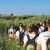 Campi di Volontariato WWF a Torre Guaceto